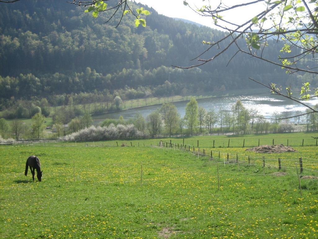 Ferienwohnung Inge Steinruecken Winterberg Oda fotoğraf