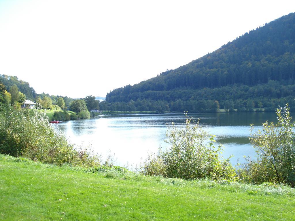 Ferienwohnung Inge Steinruecken Winterberg Oda fotoğraf